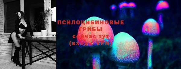 дмт Богданович