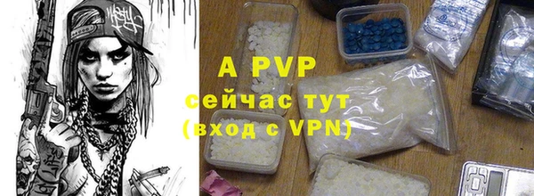 твердый Богородицк