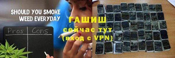 дмт Богданович