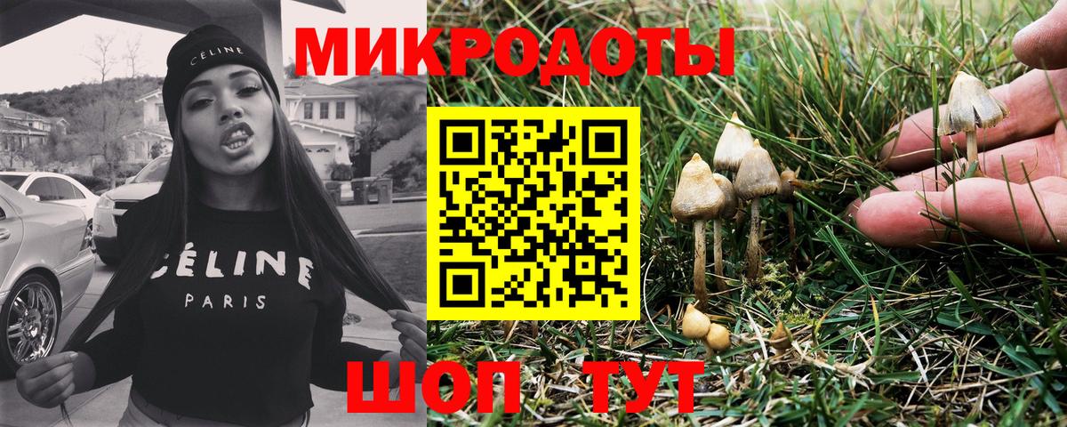 Коломна  Псилоцибиновые грибы Psilocybe  Галлюциногенные грибы GOLDEN TEACHER  Вход с VPN 
