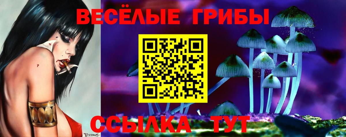 Галлюциногенные грибы ЛСД Коломна